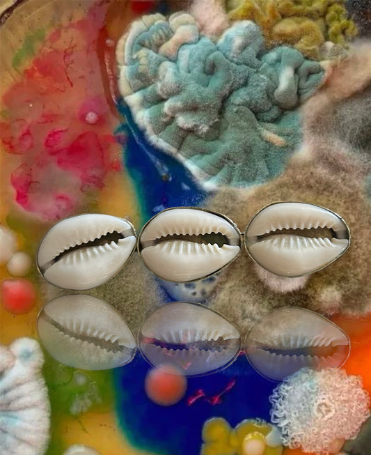 Sheli Cowrie